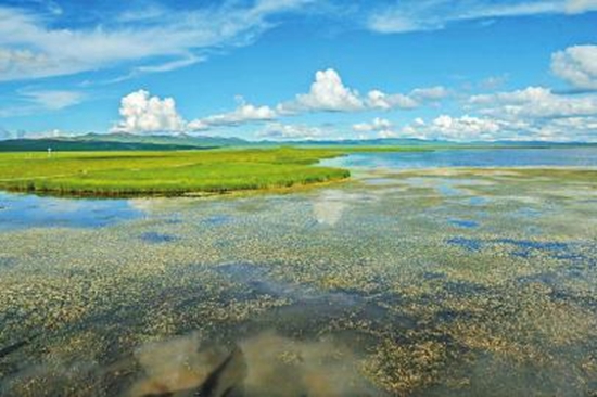 “中国最美湿地”若尔盖花湖美如仙境