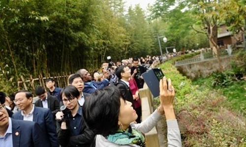 香港参访团来到成都大熊猫繁育基地