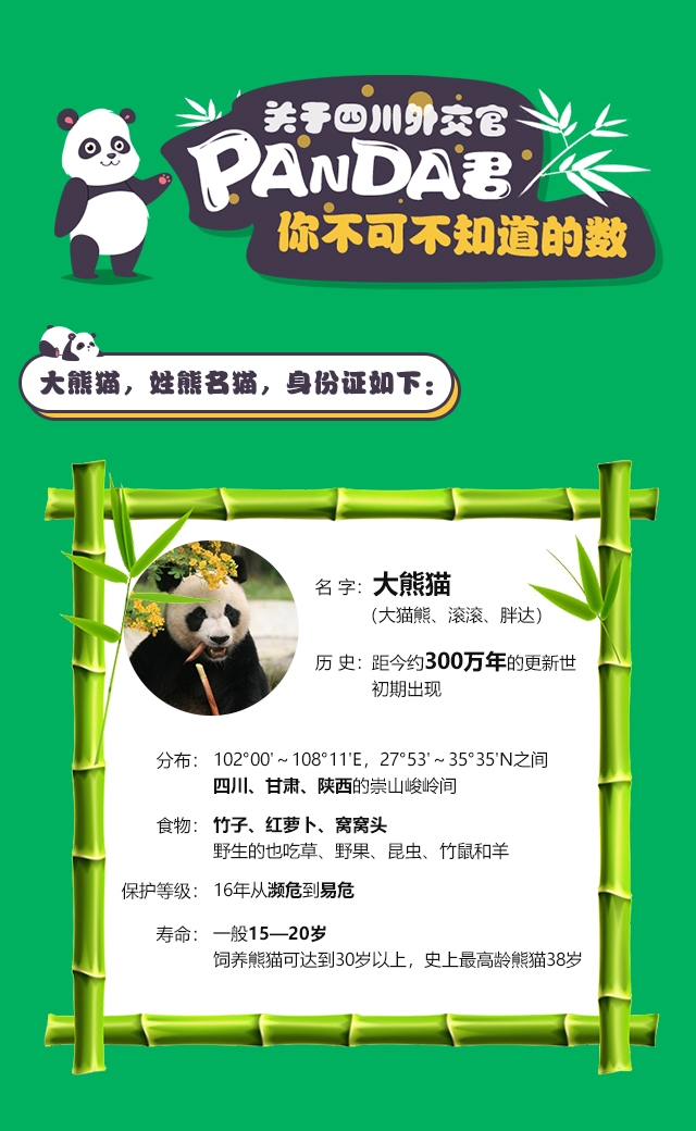 关于PANDA君你不可不知的数