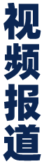 视频报道
