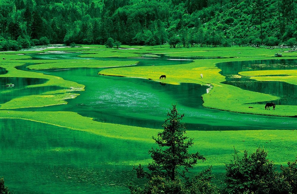 天府四川山更青水更绿